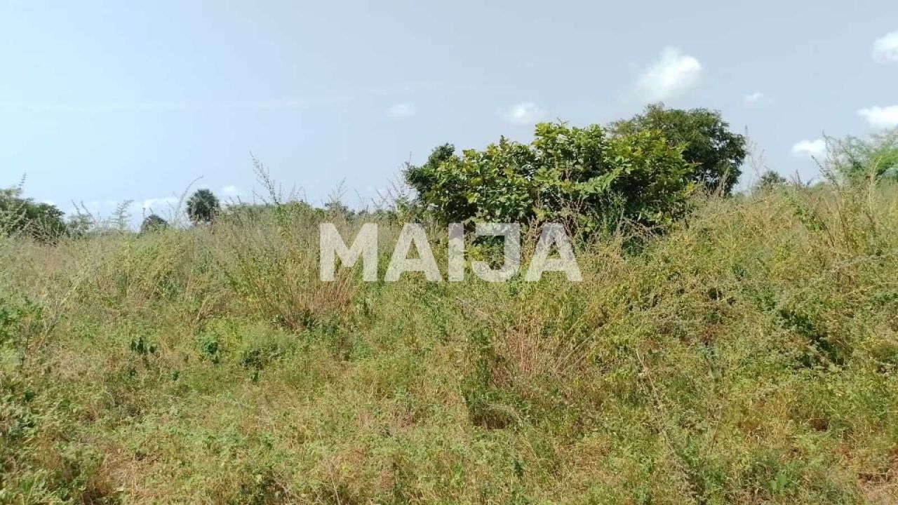 Terreno Sanyang, Gambia, 2 100 m² - imagen 6