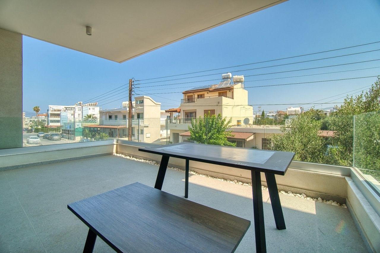 Commercial property in Paphos, Cyprus - picture 14