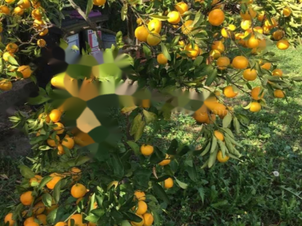 Appartement à Opatija, Croatie, 92 m² - image 4