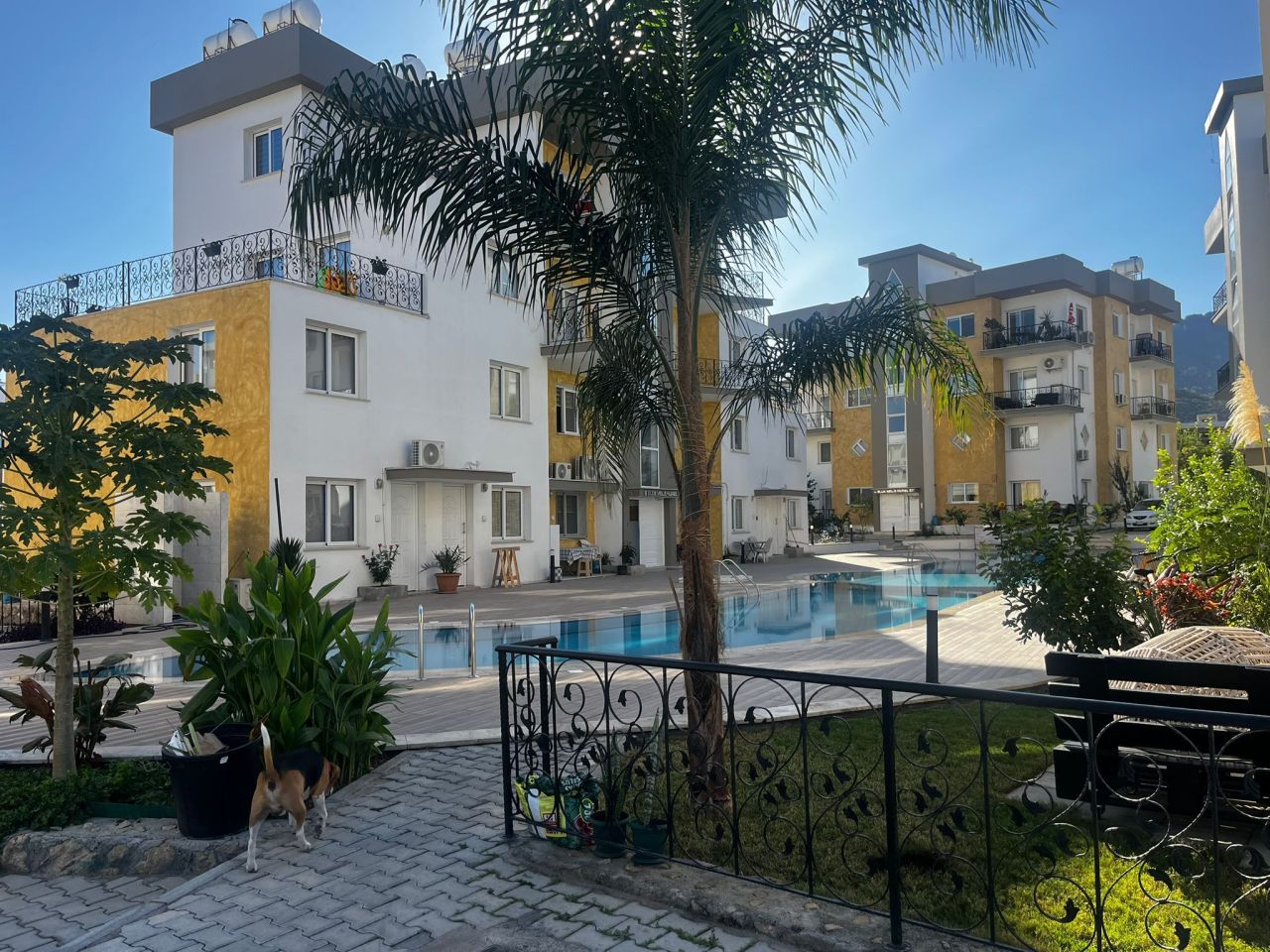 Loft à Alsancak, Chypre, 85 m² - image 18