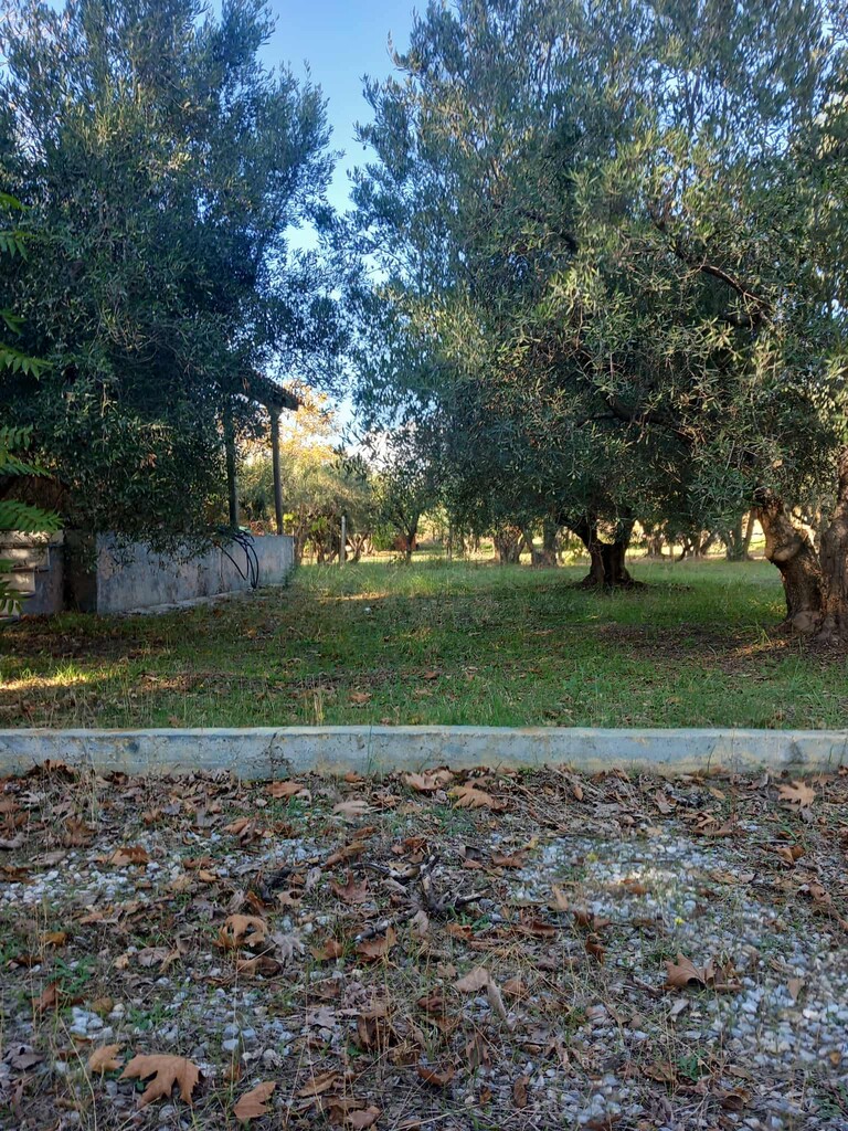 Maisonette a Calcidica, Grecia, 120 m² - foto 11