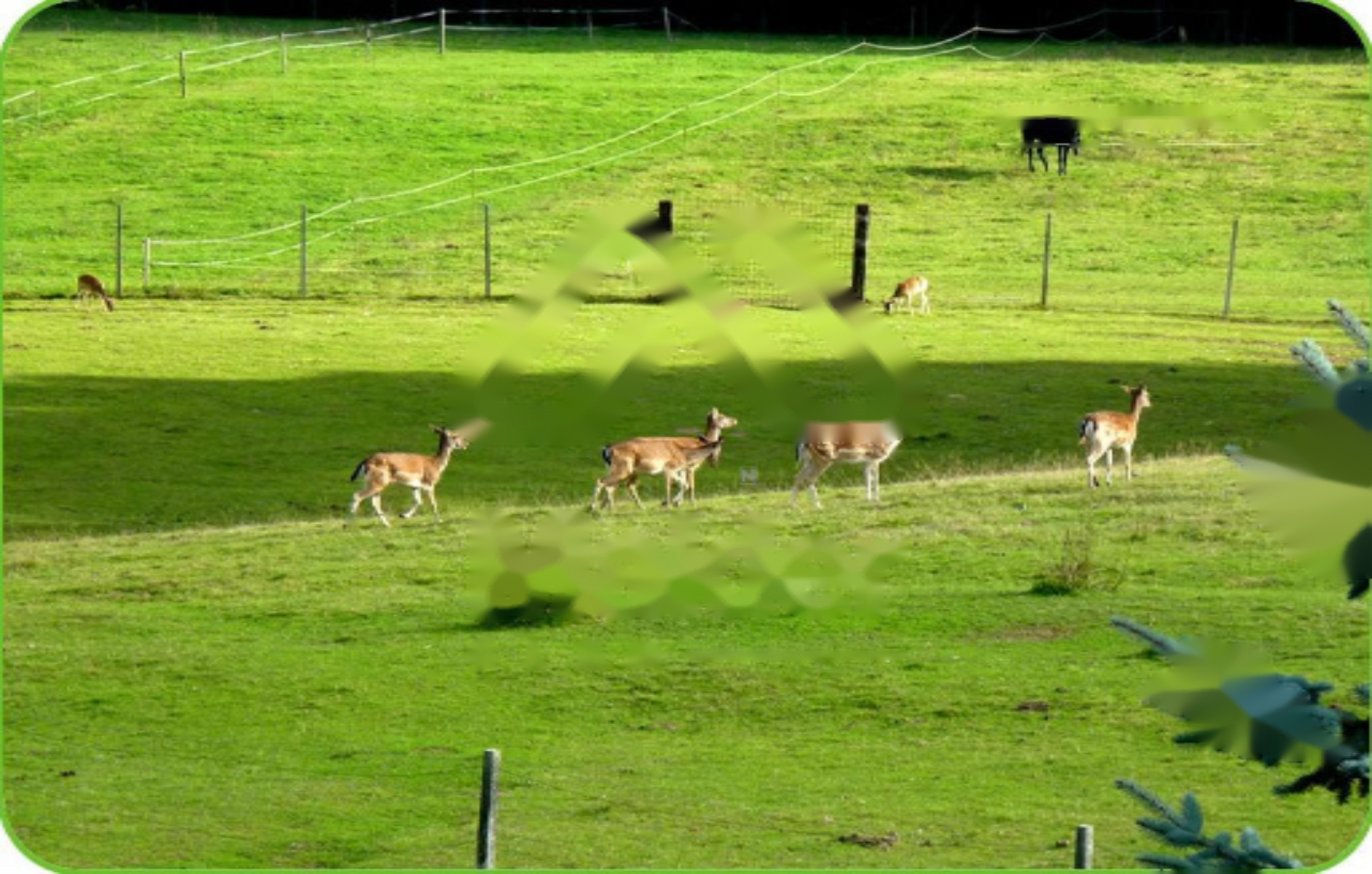 Haus in Radovljica, Slowenien, 300 m² - Foto 2