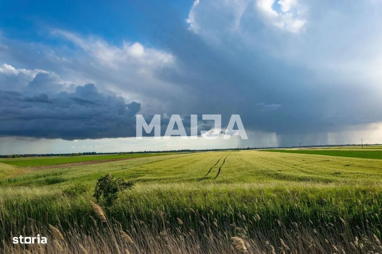 Land Stoenești, Romania, 16 000 000 m² - picture 5