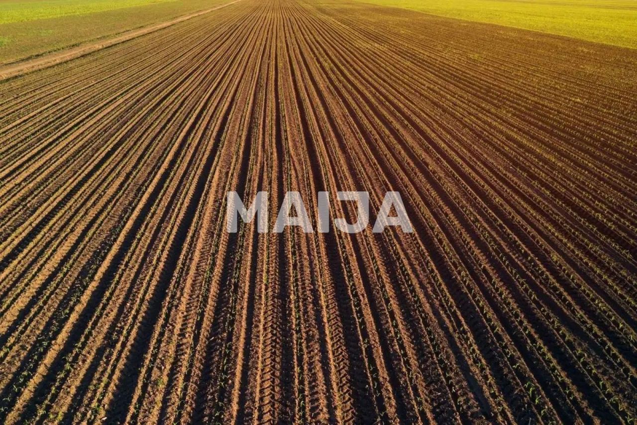 Land Stoenești, Romania, 16 000 000 m² - picture 10