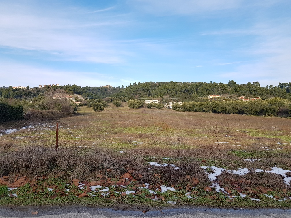 Land in Kassandra, Greece, 4 500 m² - picture 2