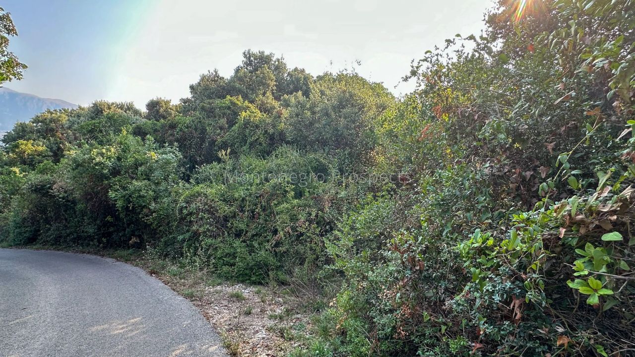 Grundstück in Utjeha, Montenegro, 3 215 m² - Foto 5