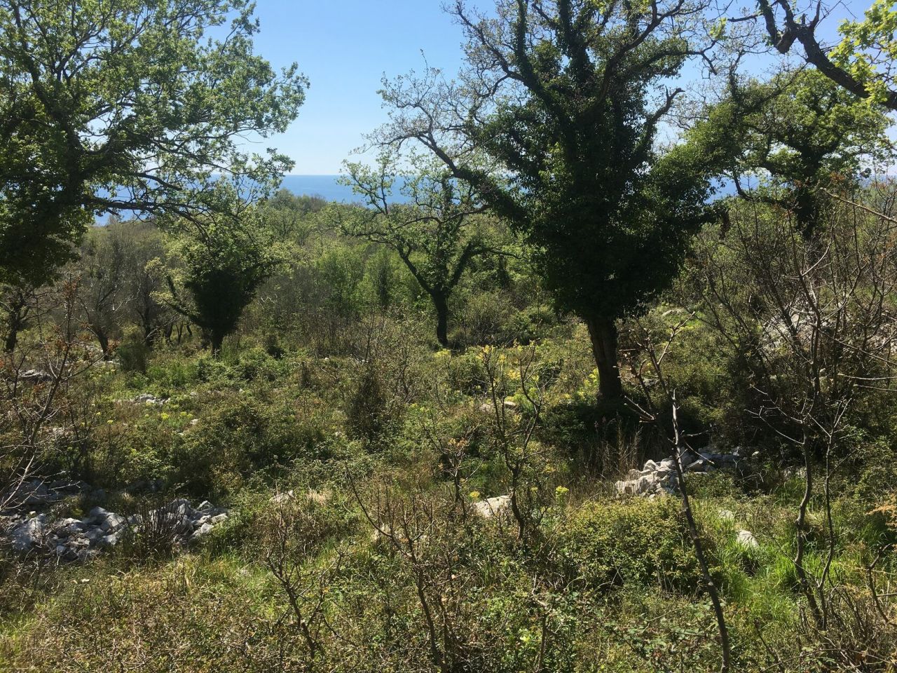 Terreno a Budva, Montenegro, 6 049 m2 - foto 3