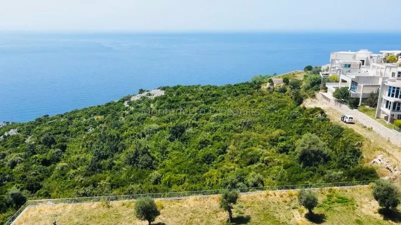 Land in Dobra Voda, Montenegro, 6 587 m² - picture 2