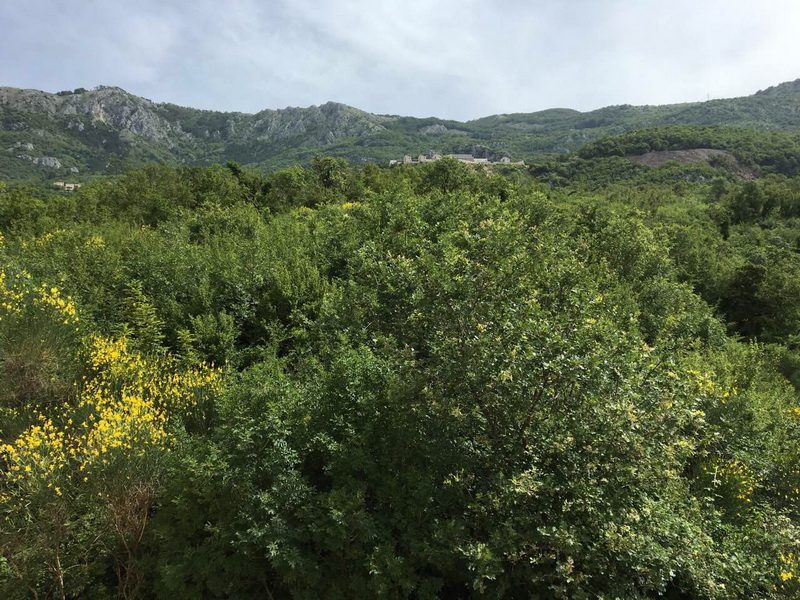 Terreno a Markovici, Montenegro, 5 822 m2 - foto 3