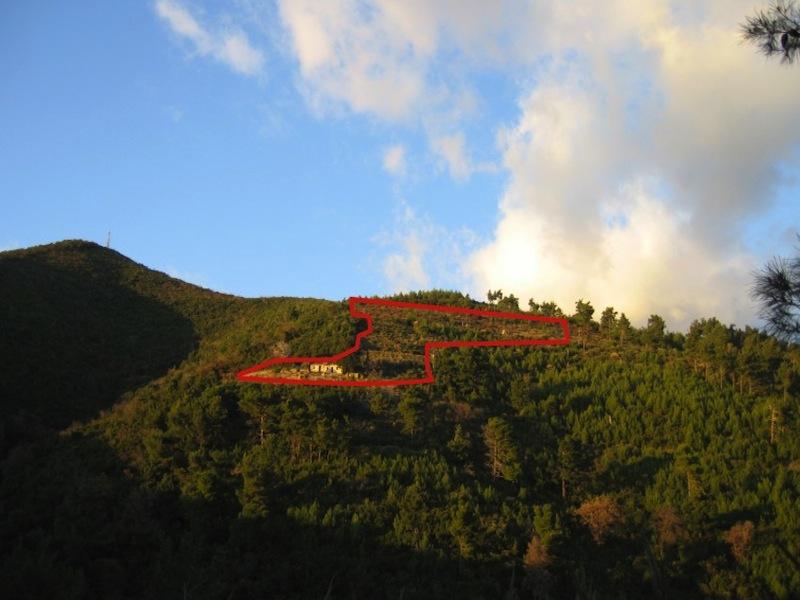 Terreno a Budva, Montenegro, 9 500 m2 - foto 2