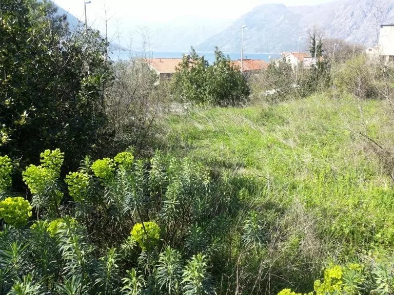 Land in Dobrota, Montenegro, 2 400 m² - picture 12