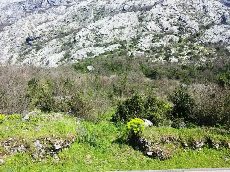 Land in Dobrota, Montenegro, 2 400 m² - picture 6