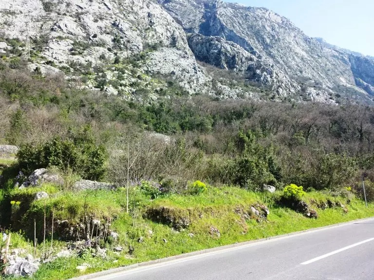 Land in Dobrota, Montenegro, 2 400 m² - picture 5