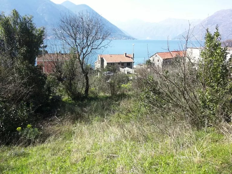 Land in Dobrota, Montenegro, 2 400 m² - picture 8