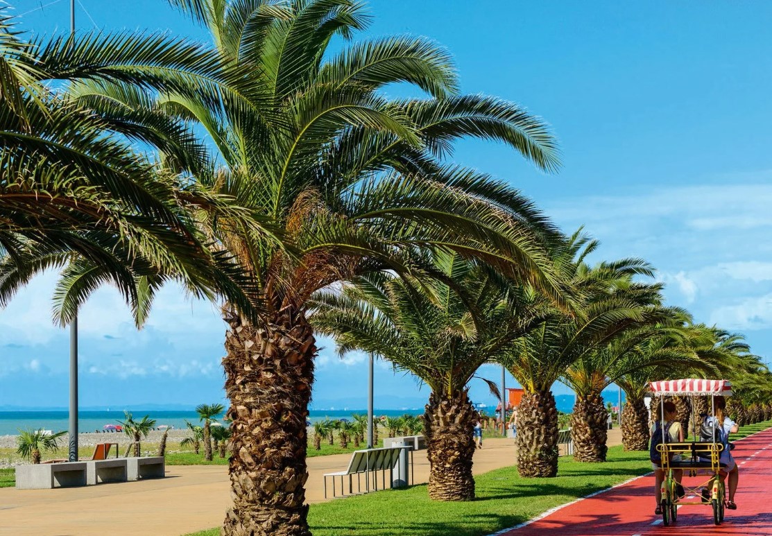 Wohnung in Batumi, Georgien, 46 m² - Foto 7