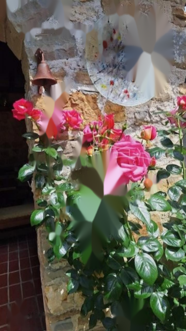 Casa a Portorose, Slovenia, 270 m² - foto 2