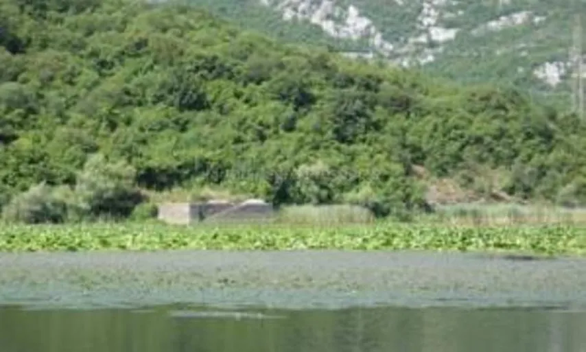 Land in Virpazar, Montenegro, 60 000 m² - picture 7