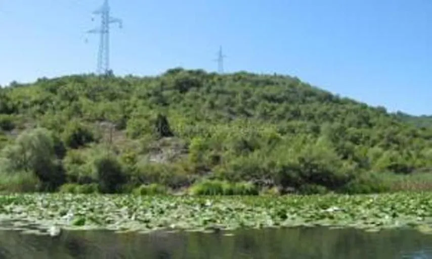 Land in Virpazar, Montenegro, 60 000 m² - picture 6