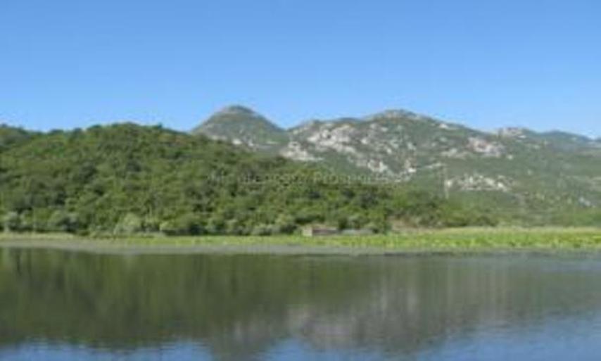 Grundstück in Virpazar, Montenegro, 60 000 m² - Foto 5