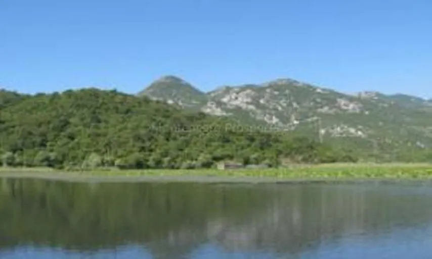 Land in Virpazar, Montenegro, 60 000 m² - picture 5