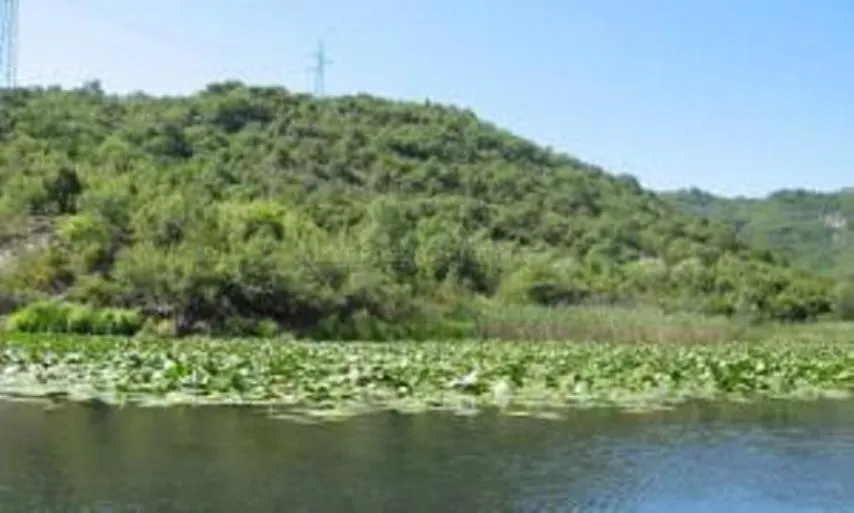 Land in Virpazar, Montenegro, 60 000 m² - picture 4