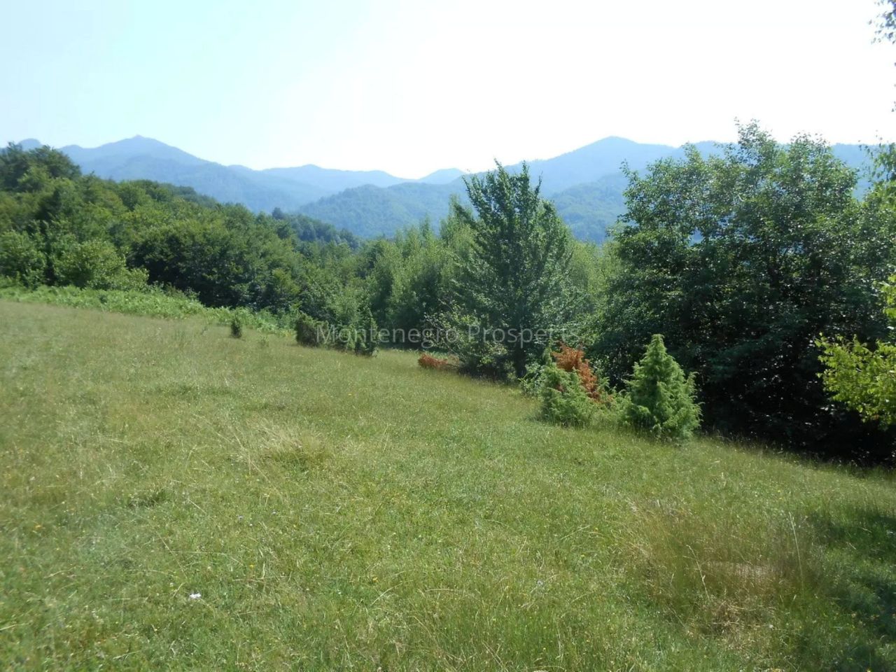 Grundstück in Kolasin, Montenegro, 13 040 m² - Foto 3