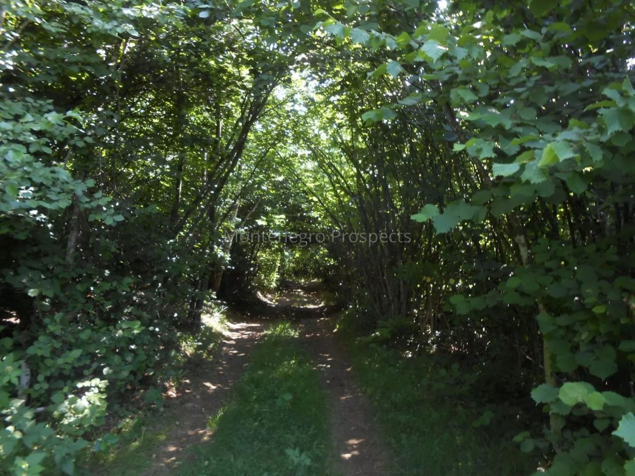 Grundstück in Kolasin, Montenegro, 13 040 m² - Foto 5