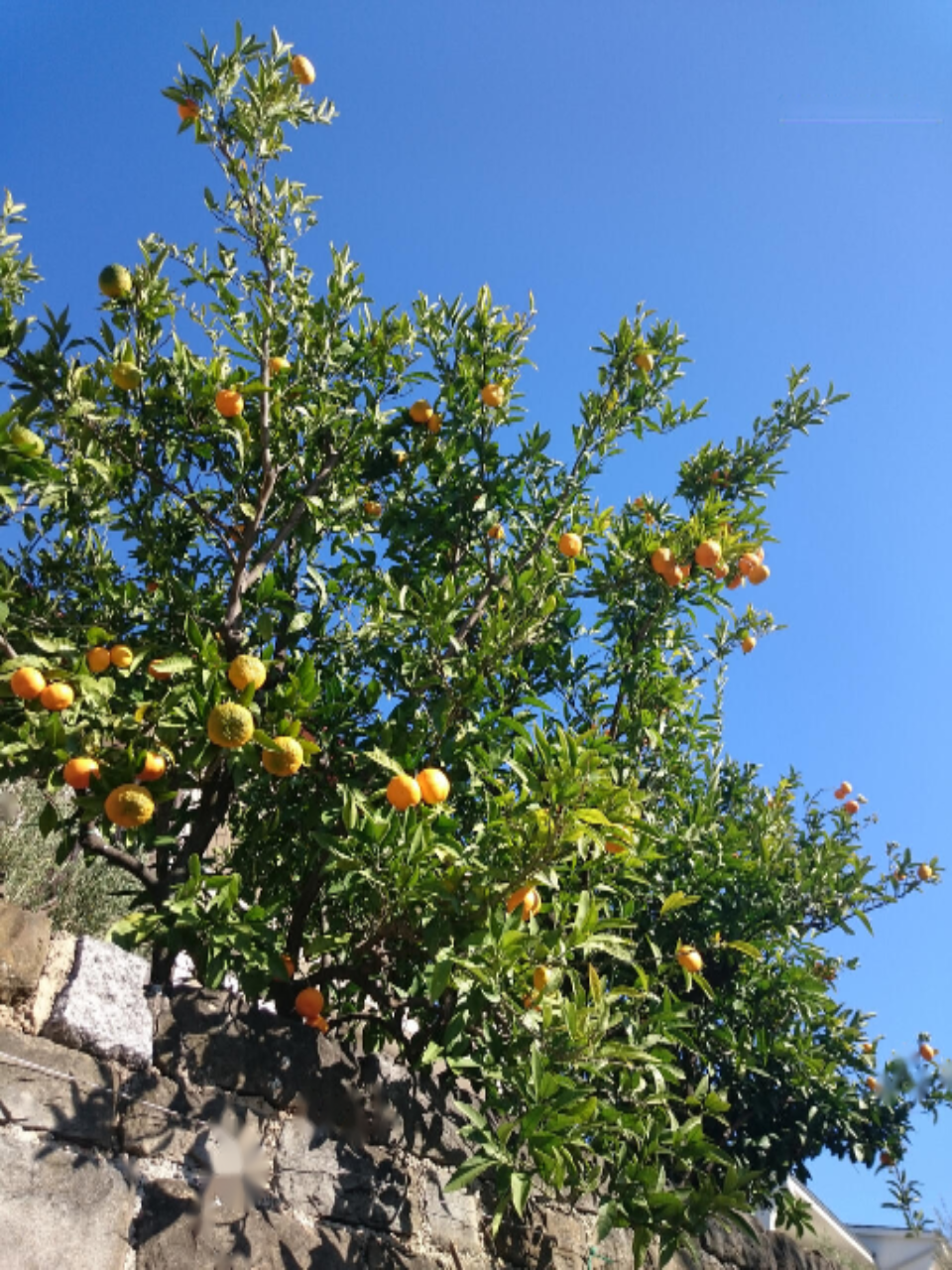 Casa en Portorož, Eslovenia, 287 m² - imagen 13