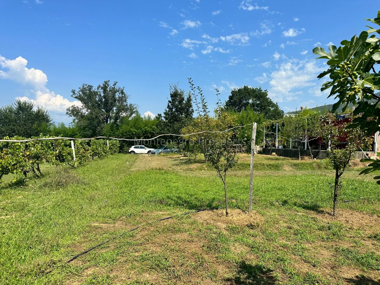 Land in Kotor, Montenegro, 2 301 m² - picture 1