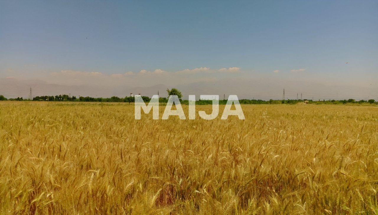 Terreno Stoenești, Rumania, 16 000 000 m² - imagen 1