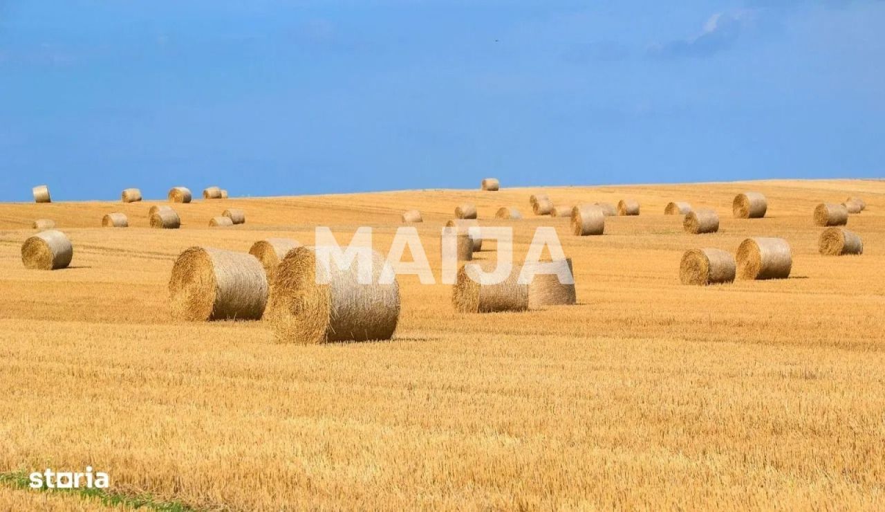 Terreno Stoenești, Rumania, 16 000 000 m² - imagen 6