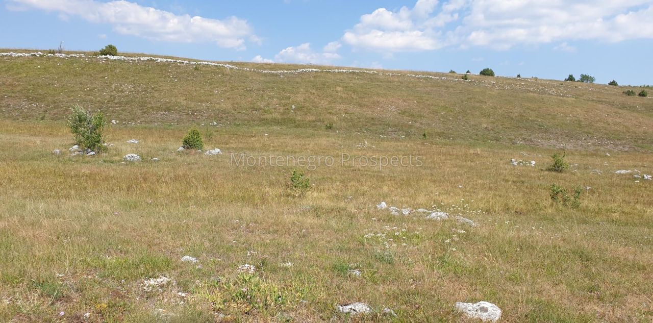 Terreno a Žabljak, Montenegro, 16 648 m2 - foto 2