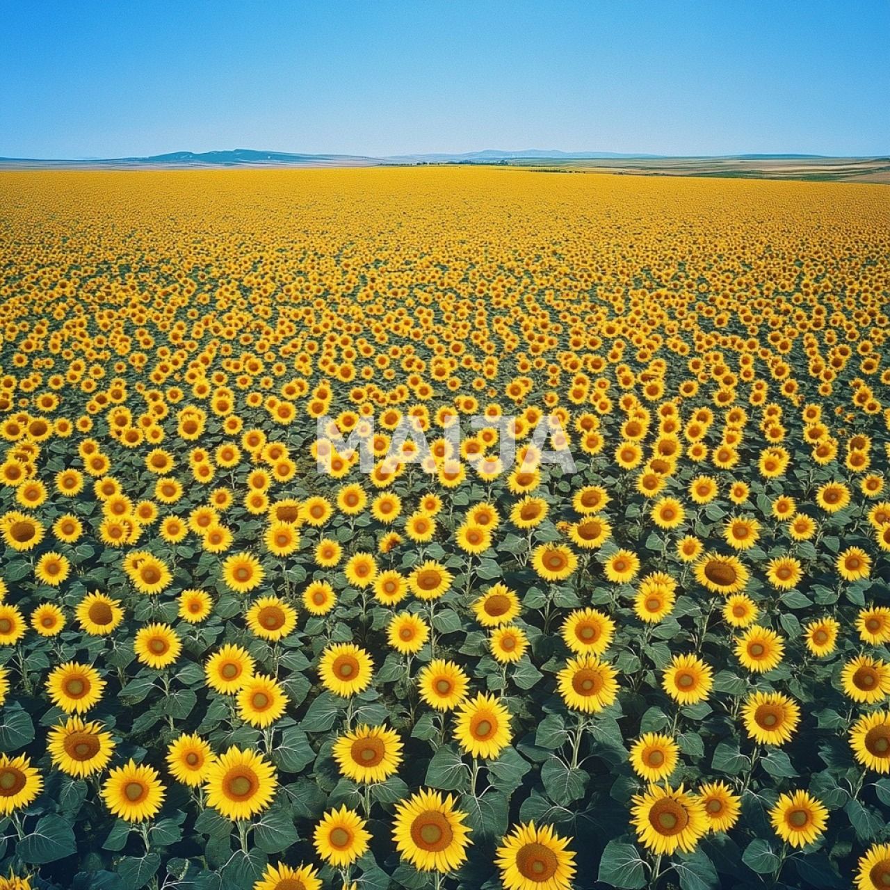 Terreno Stoenești, Rumania, 16 000 000 m² - imagen 11