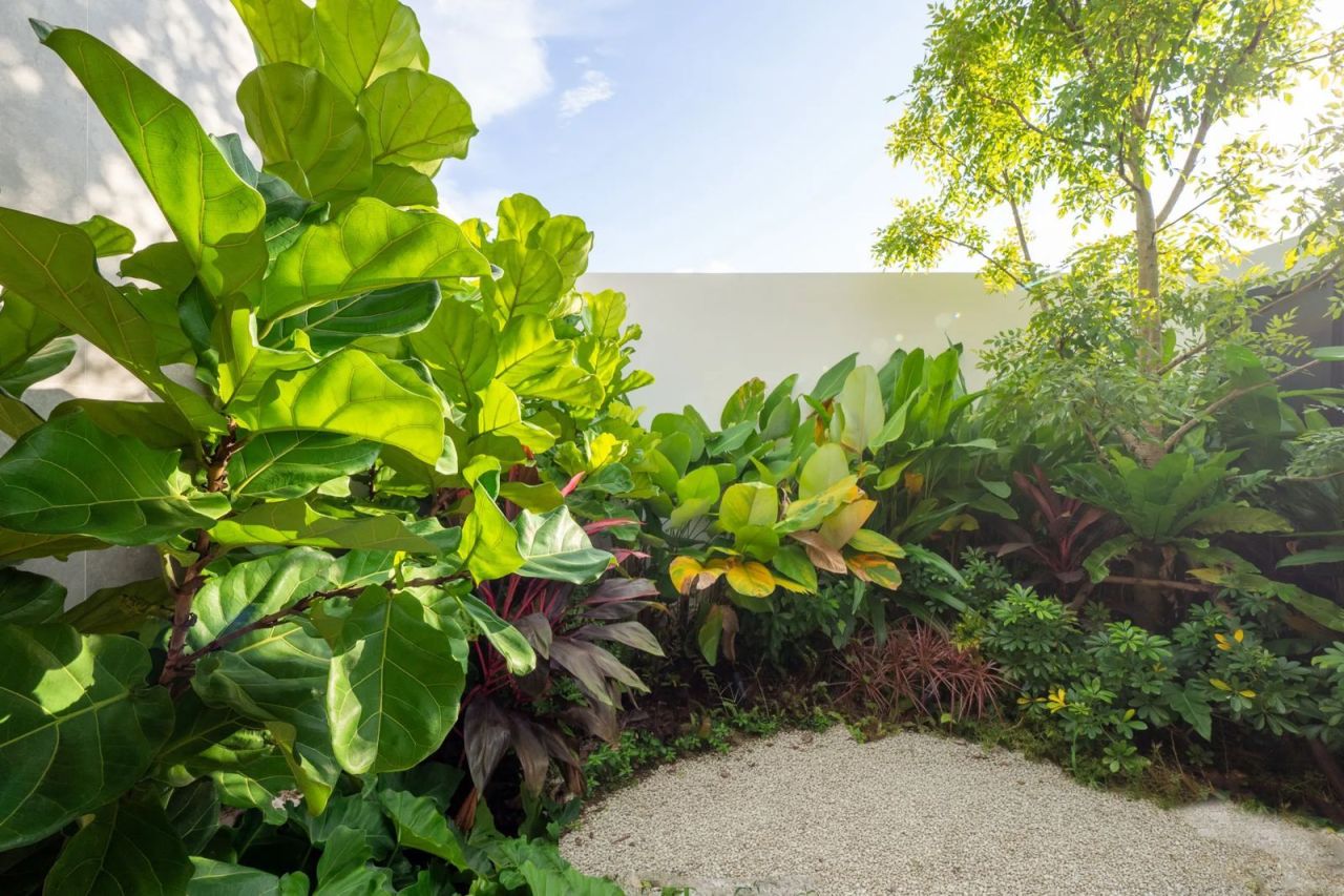 Villa in Phuket, Thailand, 333 m² - picture 7