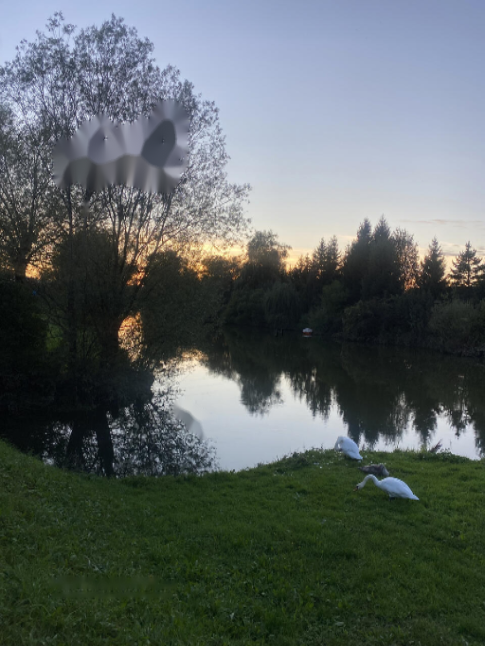 Maison à Ljubljana, Slovénie, 144 m² - image 2