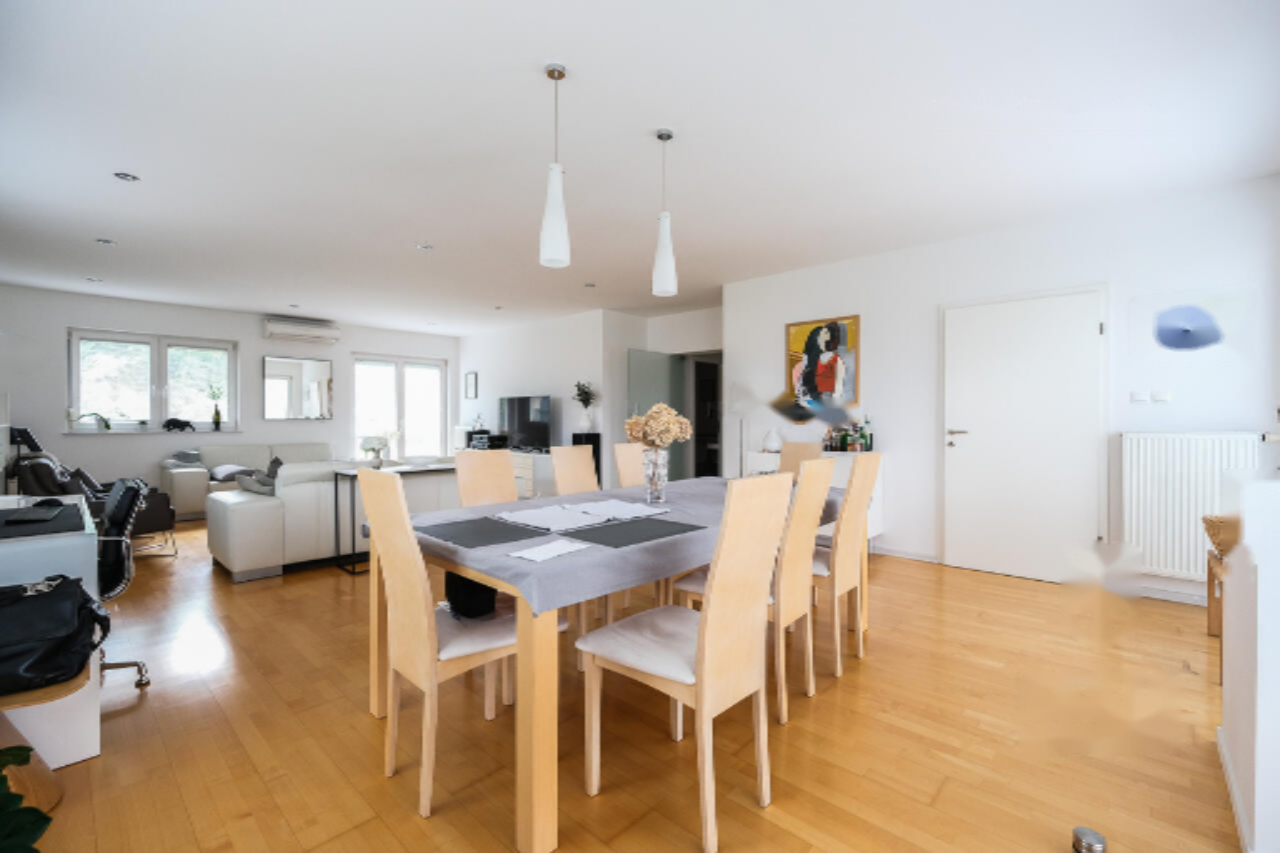 House in Ljubljana, Slovenia, 338 m² - picture 4