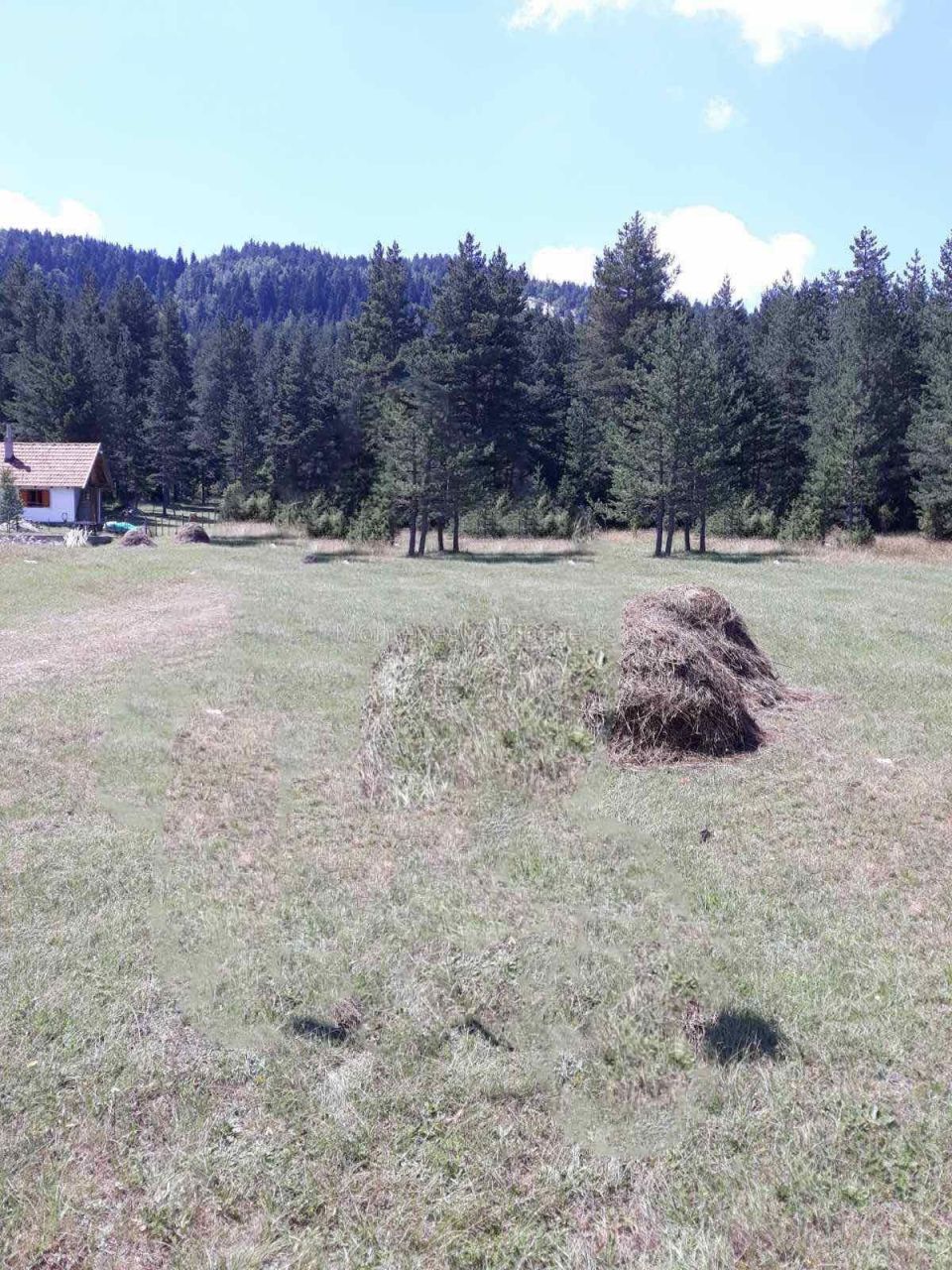 Land in Zabljak, Montenegro, 17 140 m² - picture 4