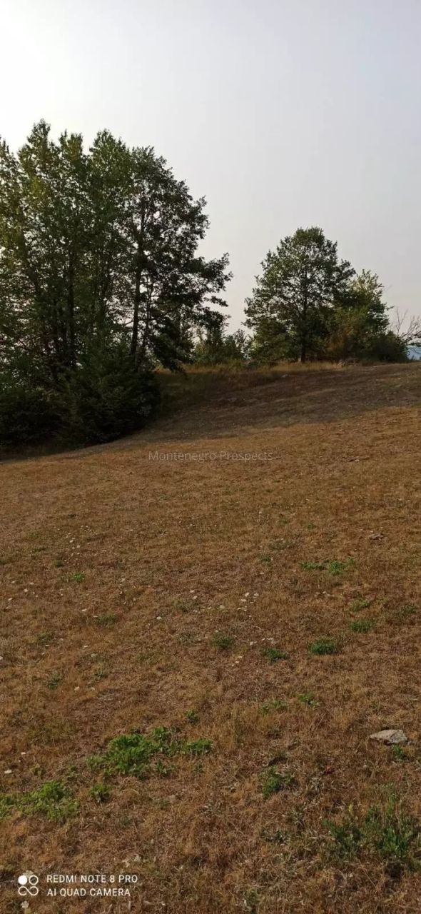 Land in Kolasin, Montenegro, 15 000 m² - picture 7