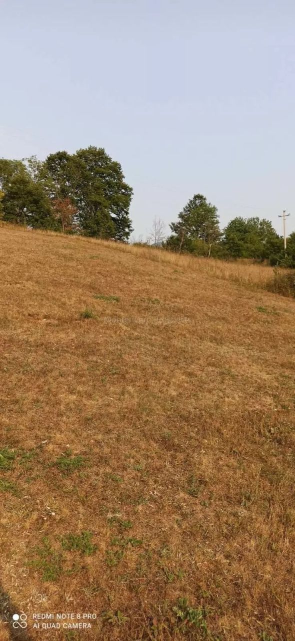 Land in Kolasin, Montenegro, 15 000 m² - picture 9