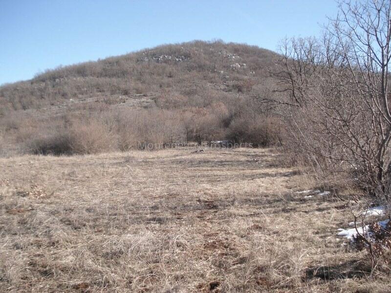 Land in Niksic, Montenegro, 170 000 m² - picture 8