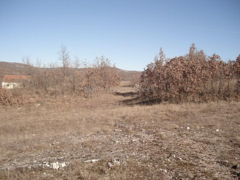 Land in Niksic, Montenegro, 170 000 m² - picture 6