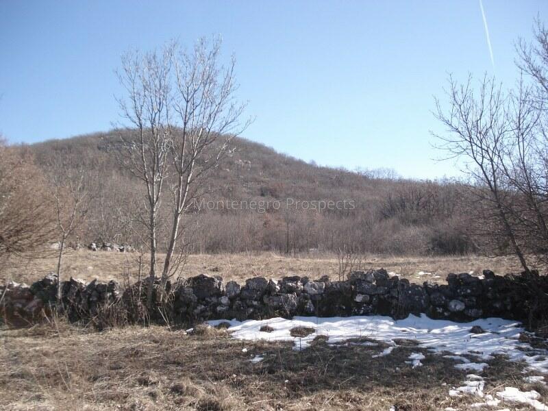 Land in Niksic, Montenegro, 170 000 m² - picture 11