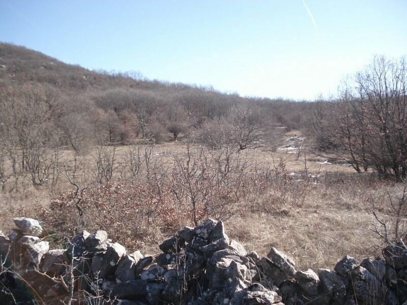 Land in Niksic, Montenegro, 170 000 m² - picture 7