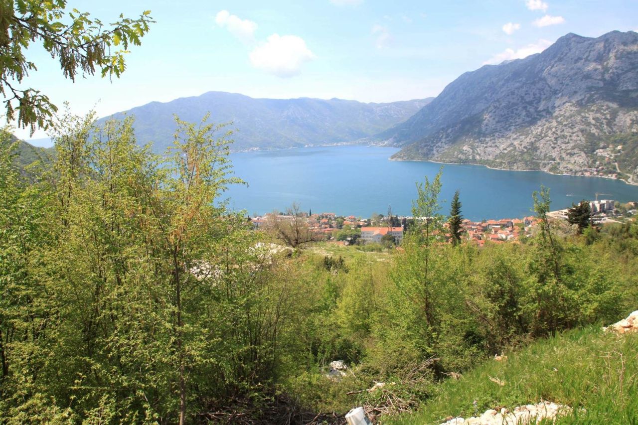 Terrain à Kotor, Monténégro, 42.3 ares - image 2