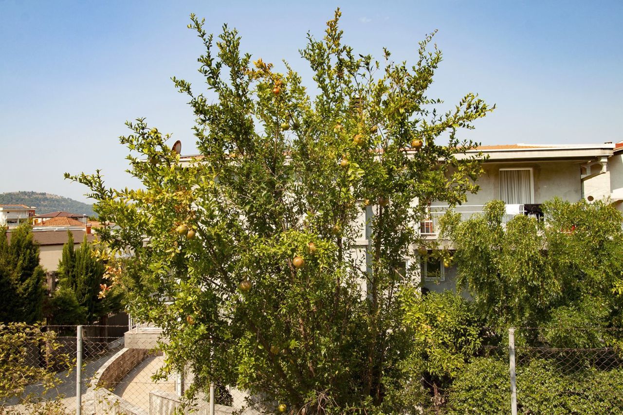 Casa en el Bar, Montenegro, 188 m² - imagen 16