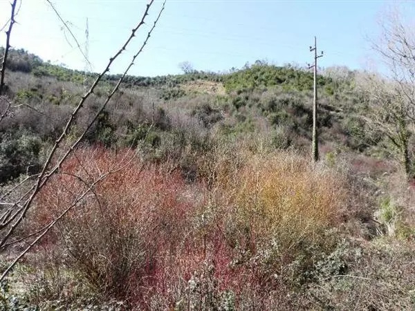 Grundstück in Lastva, Montenegro, 2 600 m² - Foto 4