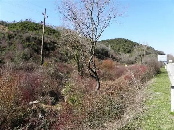 Grundstück in Lastva, Montenegro, 2 600 m² - Foto 3