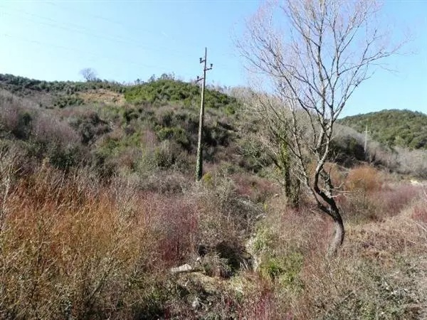 Grundstück in Lastva, Montenegro, 2 600 m² - Foto 2