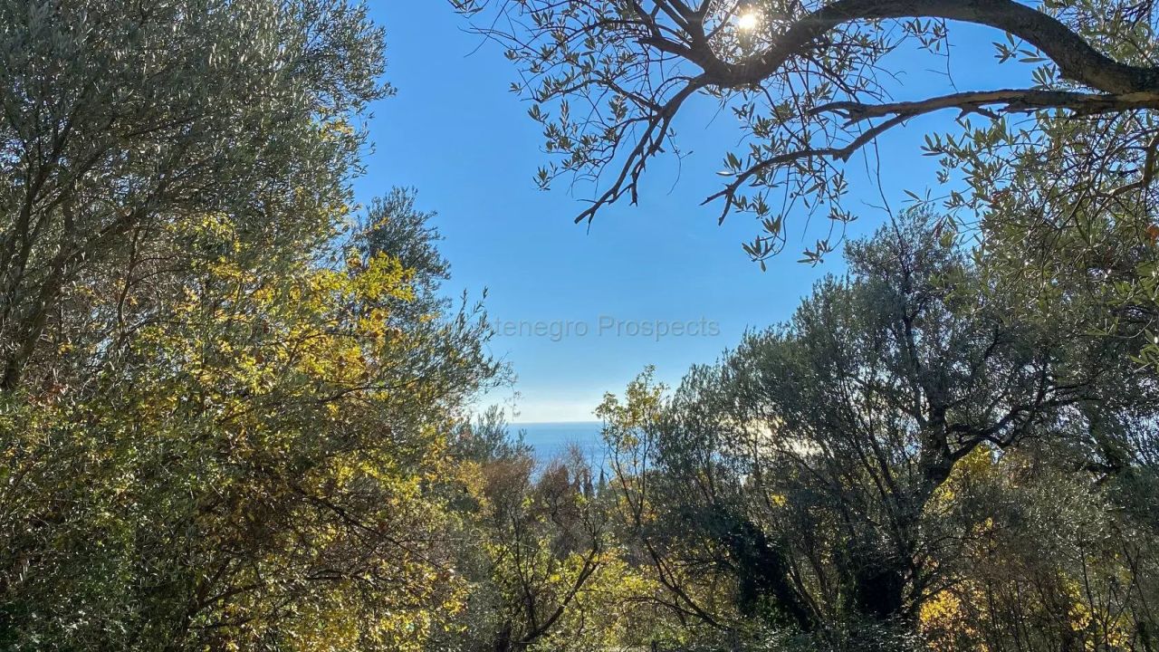 Terrain à Rézévici, Monténégro, 3 561 m² - image 9