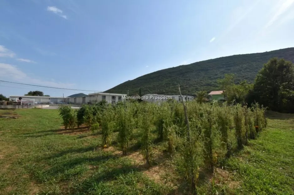 Terreno en Lastva, Montenegro, 7 333 m² - imagen 9